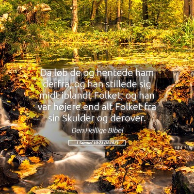 Picture 05 - 1 Samuel 10:23 DA1871 - Da løb de og hentede ham derfra, og han stillede - Bible Verse Picture