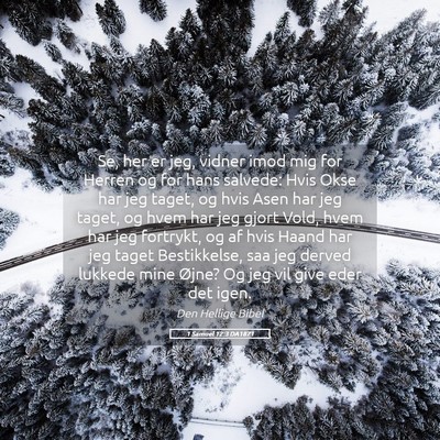 Picture 05 - 1 Samuel 12:3 DA1871 - Se, her er jeg, vidner imod mig for Herren og for - Bible Verse Picture