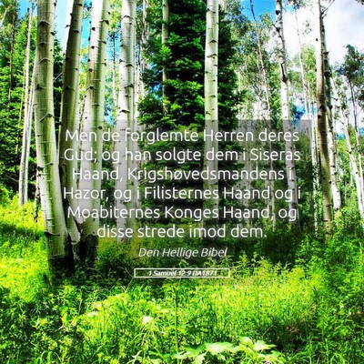 Picture 05 - 1 Samuel 12:9 DA1871 - Men de forglemte Herren deres Gud; og han solgte - Bible Verse Picture