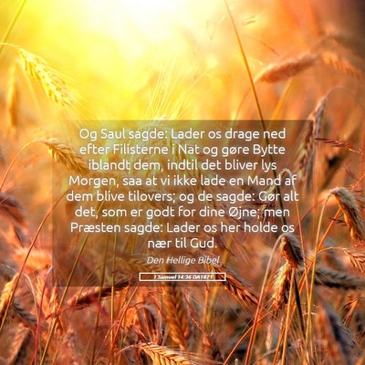 Picture 05 - 1 Samuel 14:36 DA1871 - Og Saul sagde: Lader os drage ned efter - Bible Verse Picture