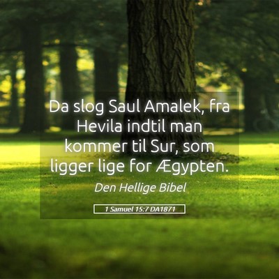Picture 05 - 1 Samuel 15:7 DA1871 - Da slog Saul Amalek, fra Hevila indtil man kommer - Bible Verse Picture