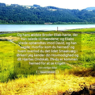 Picture 05 - 1 Samuel 17:28 DA1871 - Og hans ældste Broder Eliab hørte, der han - Bible Verse Picture