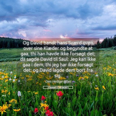Picture 05 - 1 Samuel 17:39 DA1871 - Og David bandt hans Sværd oven over sine Klæder - Bible Verse Picture