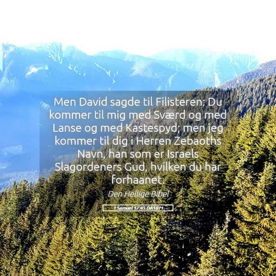 Picture 05 - 1 Samuel 17:45 DA1871 - Men David sagde til Filisteren: Du kommer til mig - Bible Verse Picture