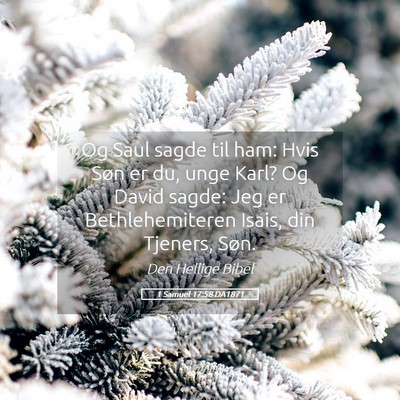 Picture 05 - 1 Samuel 17:58 DA1871 - Og Saul sagde til ham: Hvis Søn er du, unge - Bible Verse Picture