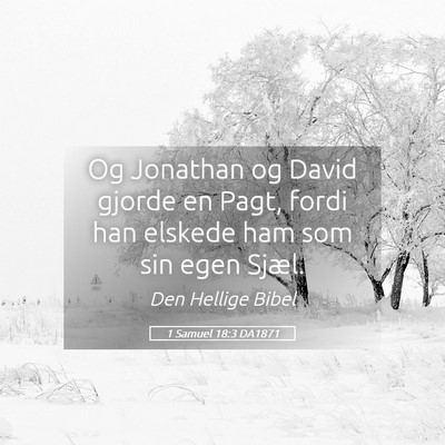 Picture 05 - 1 Samuel 18:3 DA1871 - Og Jonathan og David gjorde en Pagt, fordi han - Bible Verse Picture