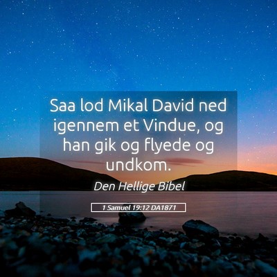 Picture 05 - 1 Samuel 19:12 DA1871 - Saa lod Mikal David ned igennem et Vindue, og han - Bible Verse Picture