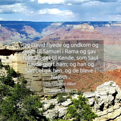 Picture 05 - 1 Samuel 19:18 DA1871 - Og David flyede og undkom og kom til Samuel i - Bible Verse Picture