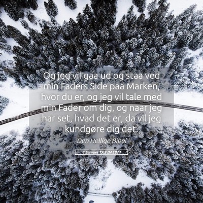 Picture 05 - 1 Samuel 19:3 DA1871 - Og jeg vil gaa ud og staa ved min Faders Side paa - Bible Verse Picture