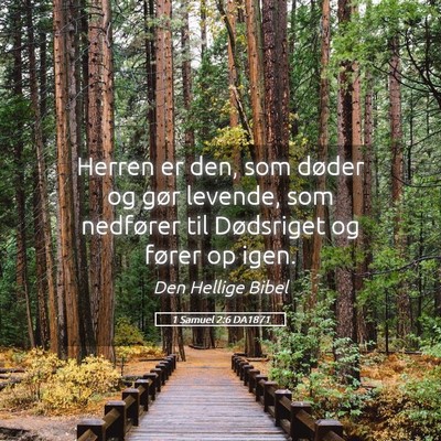 Picture 05 - 1 Samuel 2:6 DA1871 - Herren er den, som døder og gør levende, som - Bible Verse Picture
