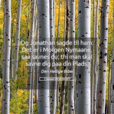 Picture 05 - 1 Samuel 20:18 DA1871 - Og Jonathan sagde til ham: Det er i Morgen - Bible Verse Picture