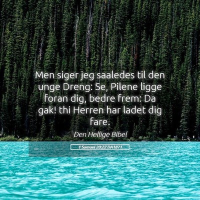 Picture 05 - 1 Samuel 20:22 DA1871 - Men siger jeg saaledes til den unge Dreng: Se, - Bible Verse Picture