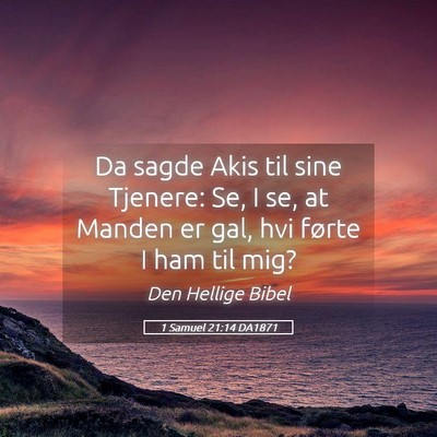Picture 05 - 1 Samuel 21:14 DA1871 - Da sagde Akis til sine Tjenere: Se, I se, at - Bible Verse Picture