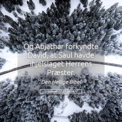 Picture 05 - 1 Samuel 22:21 DA1871 - Og Abjathar forkyndte David, at Saul havde - Bible Verse Picture