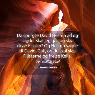 Picture 05 - 1 Samuel 23:2 DA1871 - Da spurgte David Herren ad og sagde: Skal jeg gaa - Bible Verse Picture