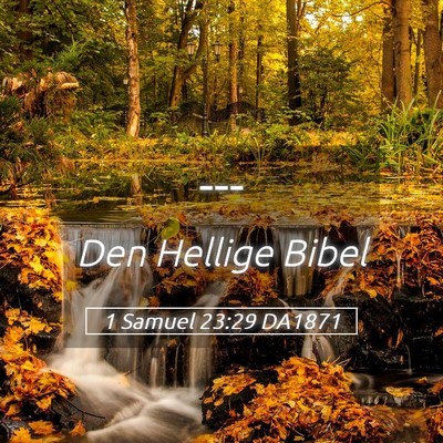 Picture 05 - 1 Samuel 23:29 DA1871 -  - Bible Verse Picture
