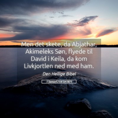Picture 05 - 1 Samuel 23:6 DA1871 - Men det skete, da Abjathar, Akimeleks Søn, - Bible Verse Picture