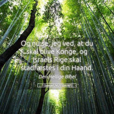 Picture 05 - 1 Samuel 24:21 DA1871 - Og nu se, jeg ved, at du skal blive Konge, og - Bible Verse Picture