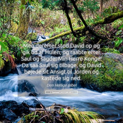 Picture 05 - 1 Samuel 24:9 DA1871 - Men derefter stod David op og gik ud af Hulen, og - Bible Verse Picture