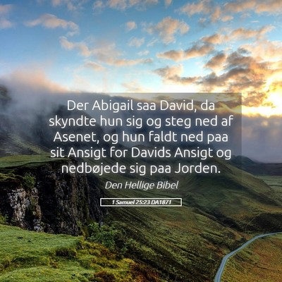 Picture 05 - 1 Samuel 25:23 DA1871 - Der Abigail saa David, da skyndte hun sig og steg - Bible Verse Picture