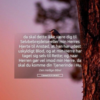 Picture 05 - 1 Samuel 25:31 DA1871 - da skal dette ikke være dig til Selvbebrejdelse - Bible Verse Picture