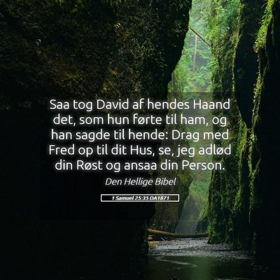 Picture 05 - 1 Samuel 25:35 DA1871 - Saa tog David af hendes Haand det, som hun førte - Bible Verse Picture
