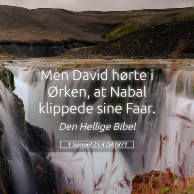 Picture 05 - 1 Samuel 25:4 DA1871 - Men David hørte i Ørken, at Nabal klippede sine - Bible Verse Picture