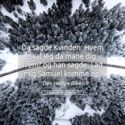 Picture 05 - 1 Samuel 28:11 DA1871 - Da sagde Kvinden: Hvem skal jeg da mane dig frem? - Bible Verse Picture