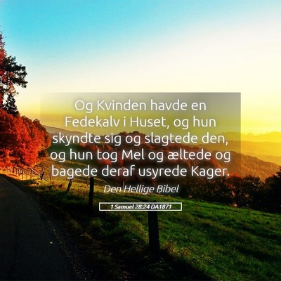 Picture 05 - 1 Samuel 28:24 DA1871 - Og Kvinden havde en Fedekalv i Huset, og hun - Bible Verse Picture