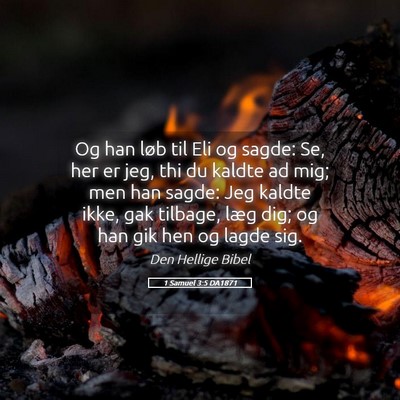 Picture 05 - 1 Samuel 3:5 DA1871 - Og han løb til Eli og sagde: Se, her er jeg, thi - Bible Verse Picture