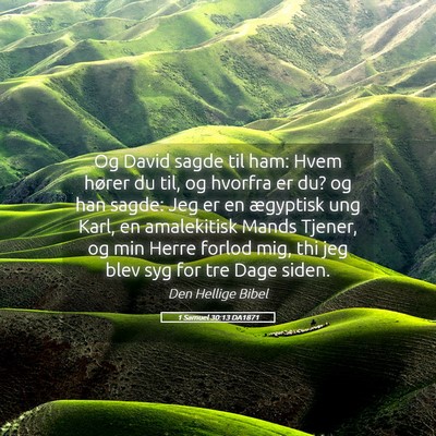 Picture 05 - 1 Samuel 30:13 DA1871 - Og David sagde til ham: Hvem hører du til, og - Bible Verse Picture