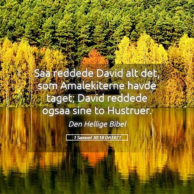 Picture 05 - 1 Samuel 30:18 DA1871 - Saa reddede David alt det, som Amalekiterne havde - Bible Verse Picture