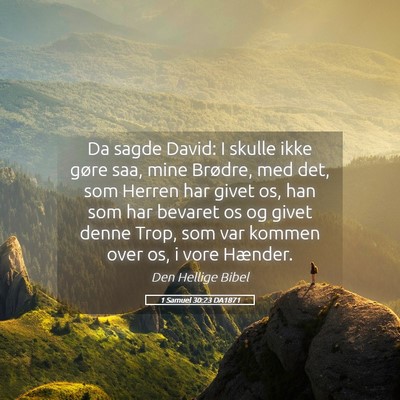 Picture 05 - 1 Samuel 30:23 DA1871 - Da sagde David: I skulle ikke gøre saa, mine - Bible Verse Picture