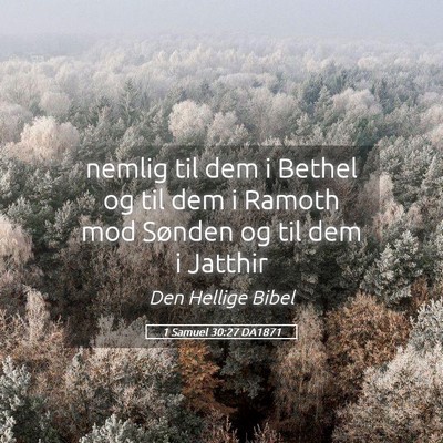 Picture 05 - 1 Samuel 30:27 DA1871 - nemlig til dem i Bethel og til dem i Ramoth mod - Bible Verse Picture