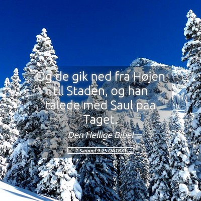 Picture 05 - 1 Samuel 9:25 DA1871 - Og de gik ned fra Højen til Staden, og han - Bible Verse Picture