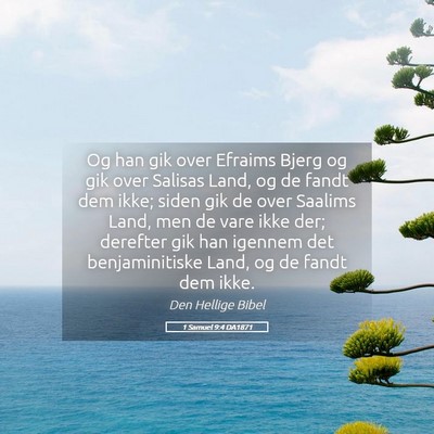 Picture 05 - 1 Samuel 9:4 DA1871 - Og han gik over Efraims Bjerg og gik over Salisas - Bible Verse Picture