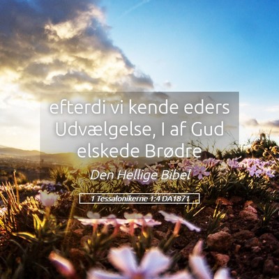 Picture 05 - 1 Tessalonikerne 1:4 DA1871 - efterdi vi kende eders Udvælgelse, I af Gud - Bible Verse Picture