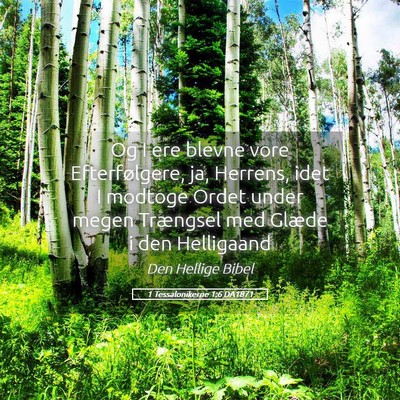 Picture 05 - 1 Tessalonikerne 1:6 DA1871 - Og I ere blevne vore Efterfølgere, ja, Herrens, - Bible Verse Picture