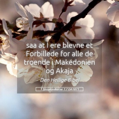 Picture 05 - 1 Tessalonikerne 1:7 DA1871 - saa at I ere blevne et Forbillede for alle de - Bible Verse Picture