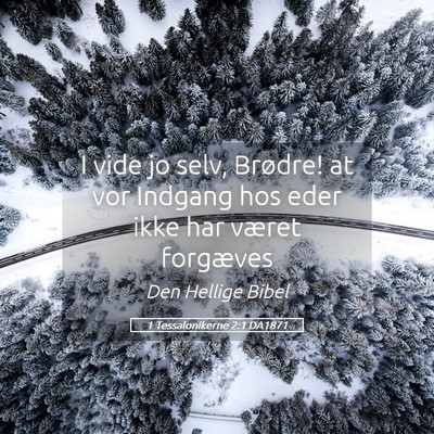 Picture 05 - 1 Tessalonikerne 2:1 DA1871 - I vide jo selv, Brødre! at vor Indgang hos eder - Bible Verse Picture