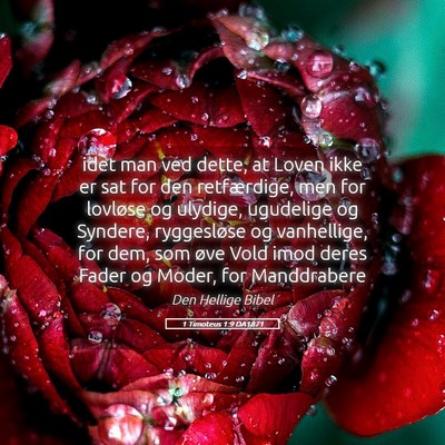 Picture 05 - 1 Timoteus 1:9 DA1871 - idet man ved dette, at Loven ikke er sat for den - Bible Verse Picture