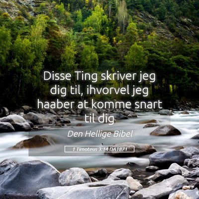 Picture 05 - 1 Timoteus 3:14 DA1871 - Disse Ting skriver jeg dig til, ihvorvel jeg - Bible Verse Picture