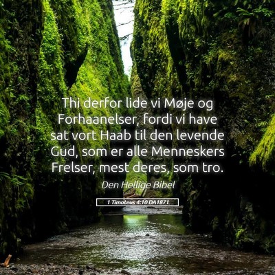 Picture 05 - 1 Timoteus 4:10 DA1871 - Thi derfor lide vi Møje og Forhaanelser, fordi - Bible Verse Picture
