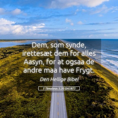 Picture 05 - 1 Timoteus 5:20 DA1871 - Dem, som synde, irettesæt dem for alles Aasyn, - Bible Verse Picture