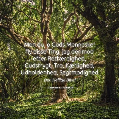 Picture 05 - 1 Timoteus 6:11 DA1871 - Men du, o Guds Menneske! fly disse Ting; jag - Bible Verse Picture