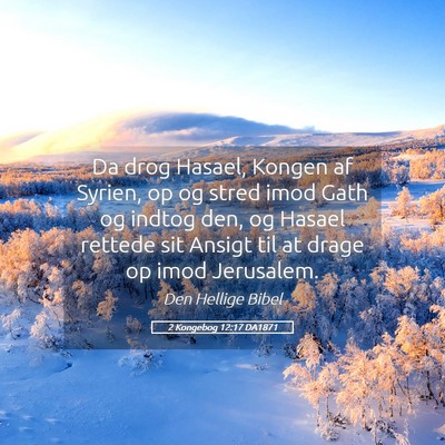 Picture 05 - 2 Kongebog 12:17 DA1871 - Da drog Hasael, Kongen af Syrien, op og stred - Bible Verse Picture