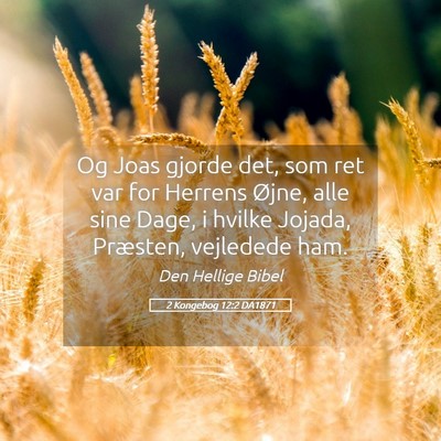 Picture 05 - 2 Kongebog 12:2 DA1871 - Og Joas gjorde det, som ret var for Herrens - Bible Verse Picture