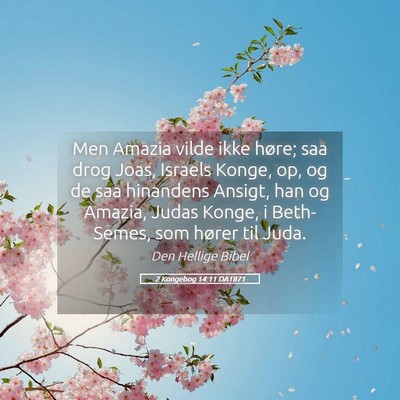 Picture 05 - 2 Kongebog 14:11 DA1871 - Men Amazia vilde ikke høre; saa drog Joas, - Bible Verse Picture
