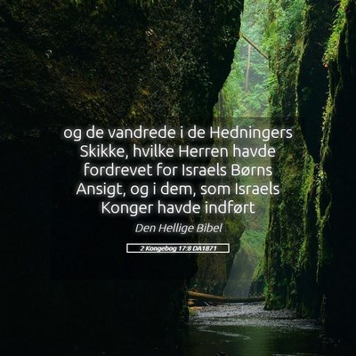 Picture 05 - 2 Kongebog 17:8 DA1871 - og de vandrede i de Hedningers Skikke, hvilke - Bible Verse Picture