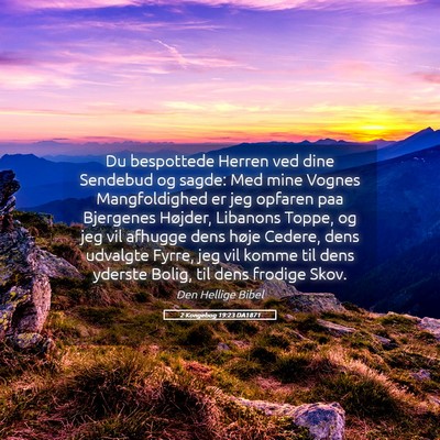 Picture 05 - 2 Kongebog 19:23 DA1871 - Du bespottede Herren ved dine Sendebud og sagde: - Bible Verse Picture